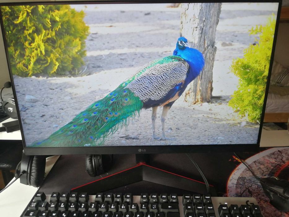 LG UltraGear 24GN60R-B, GOOD Condition!