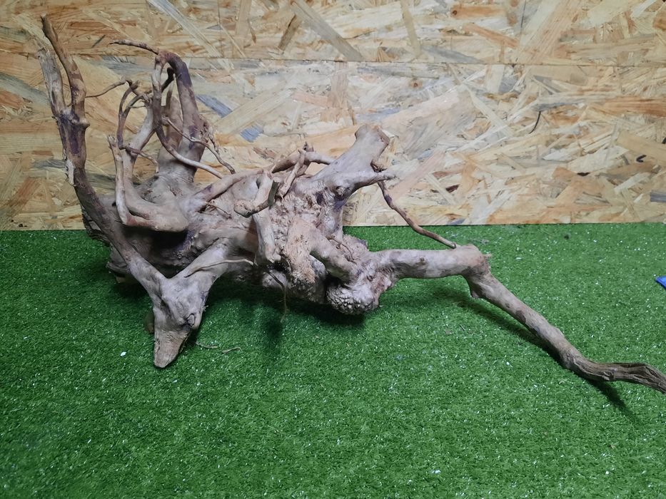 Korzeń do akwarium Red Moore Wood nr 863 o wymiarach 55/39/35