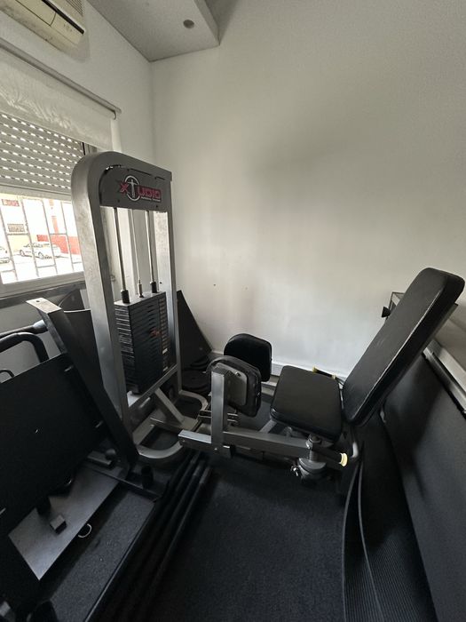 Leg Extension and Abductor Machine483142298754109443