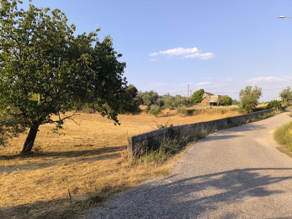 Quinta  Zona Centro 18.000 m² localização privilegiada