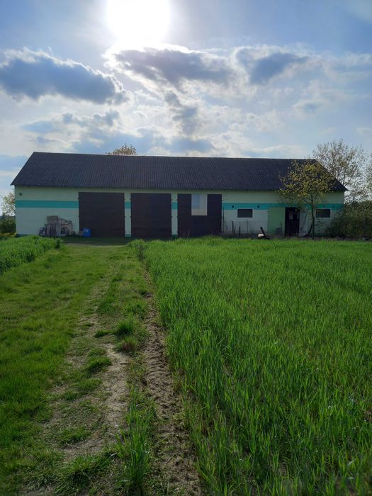 Sprzedam dom/ siedlisko/niedaleko od Łodzi - Widok 5