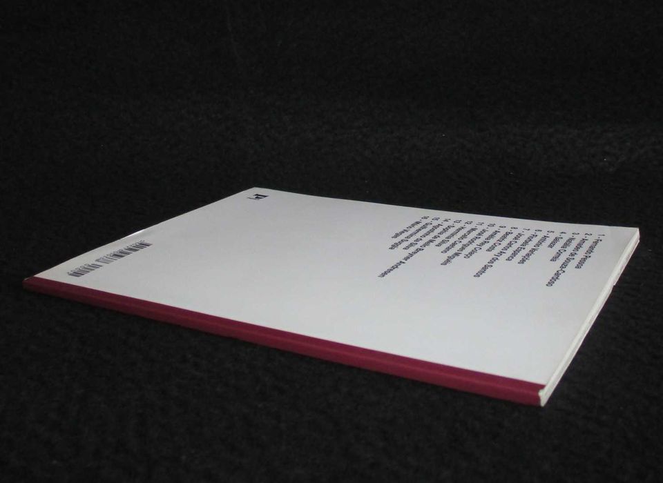 Livro Cadernos Biográficos 2 Amadeo de Souza-Cardoso