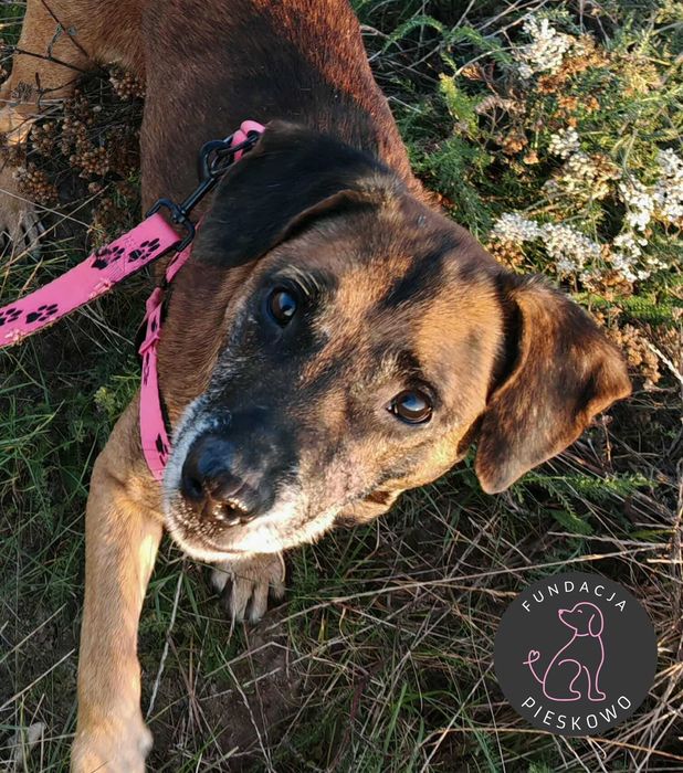 Spajki szuka domu < 3