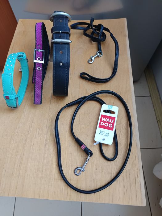 Поводок, ошейник рулетка.