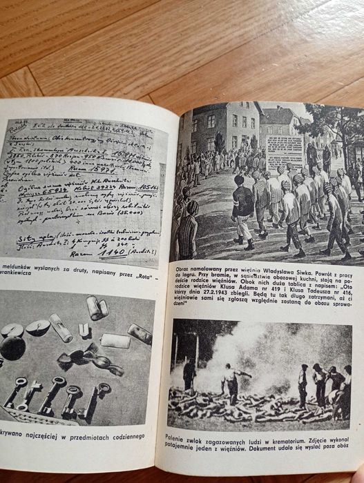 książka: ,,Ucieczki oświęcimskie"