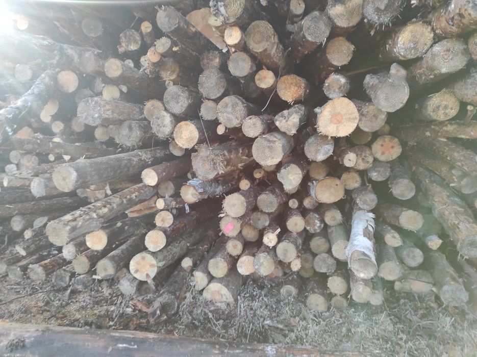 Drewno kominkowe/opałowe