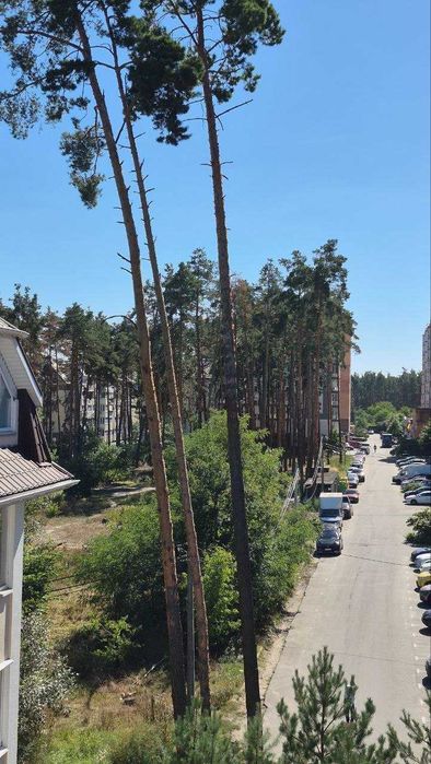 Оренда 1-к квартири біля Центрального парку. Газ. Тваринки можна. Паркомісце