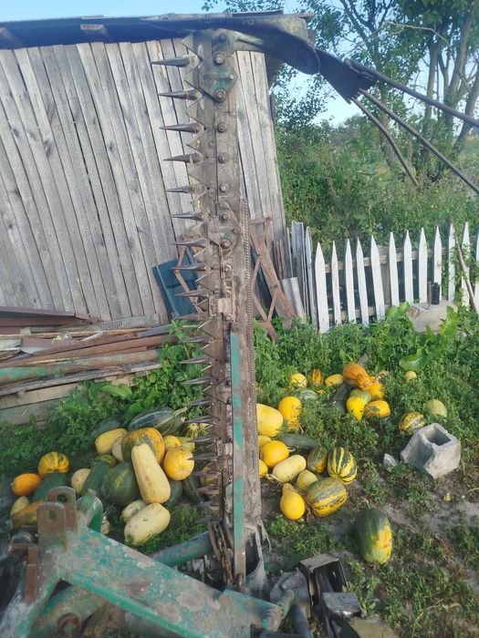 Польська сегментна косарка ASA