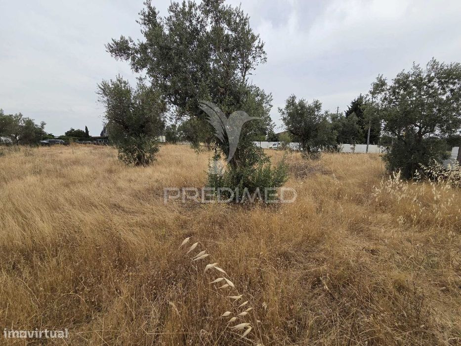 Lote de Terreno