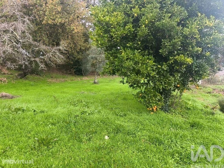Casa de Campo em Seixo da Beira de 166 m2