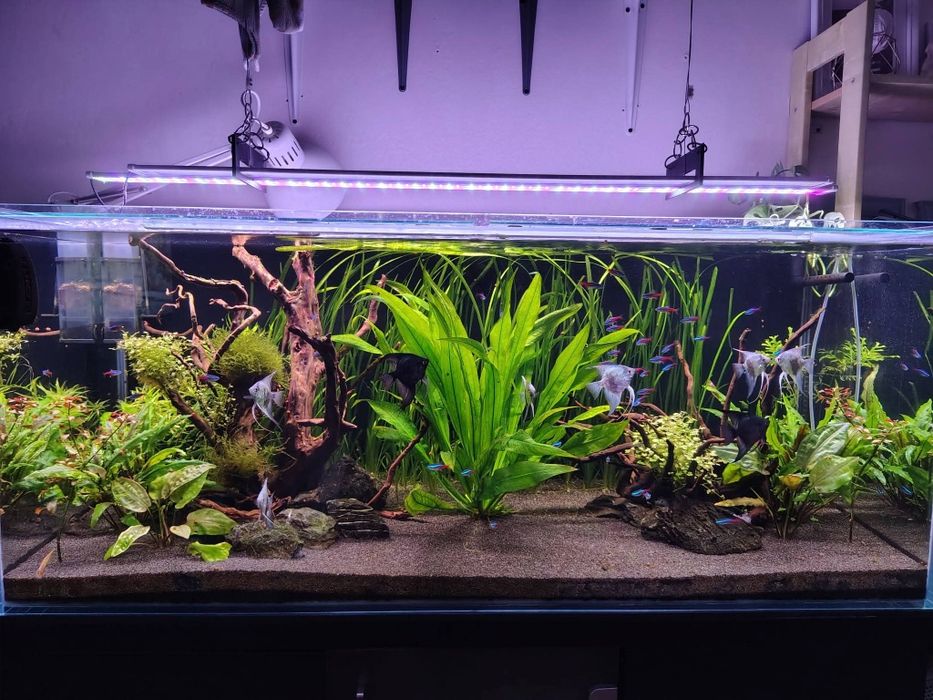 Akwarium 300l, komplet.