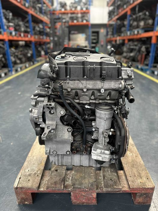 Motor VW/Audi/Skoda 1.9 TDI 105cv BLS