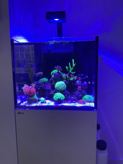 Akwarium morskie Red Sea Reefer G2 Max 170