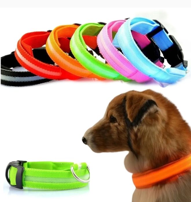 Obroże dla zwierząt LED