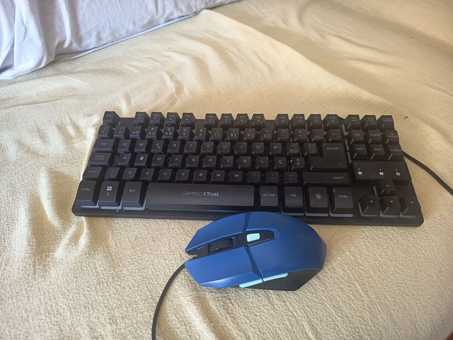 Pc gamer com munitor, teclado e mouse.
