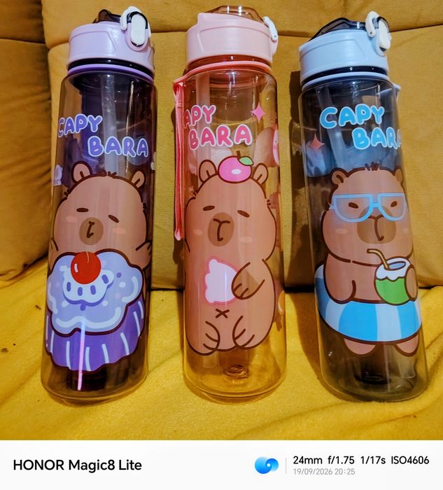 Bidon Capybara - nowy - 750ml
