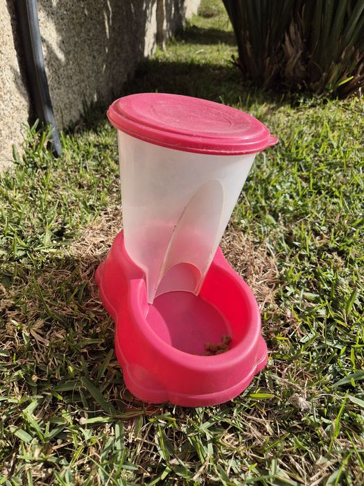 Transportadora para gatos ou cães pequenos