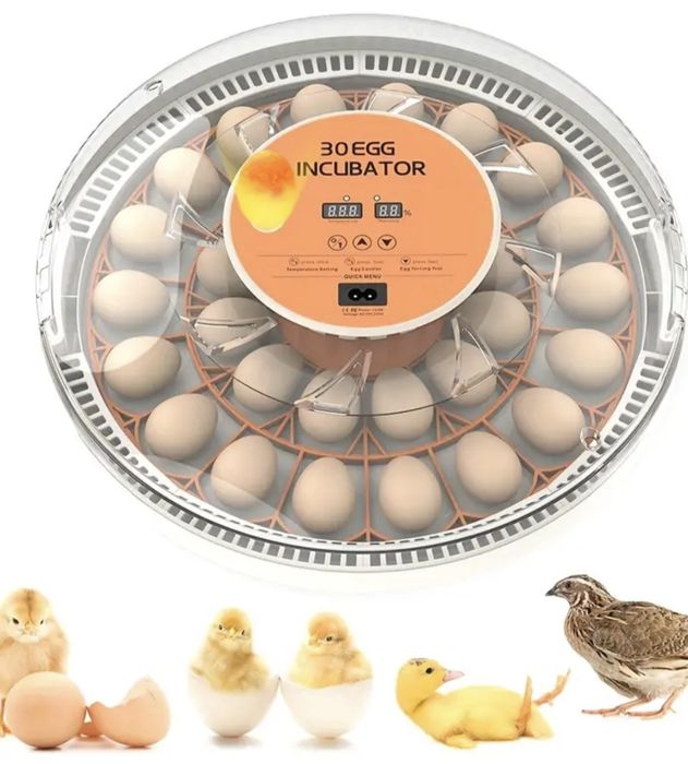 Vendo chocadeira de ovos