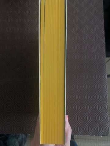Livro - A Filha do Guardião do Fogo - Novo nunca lido