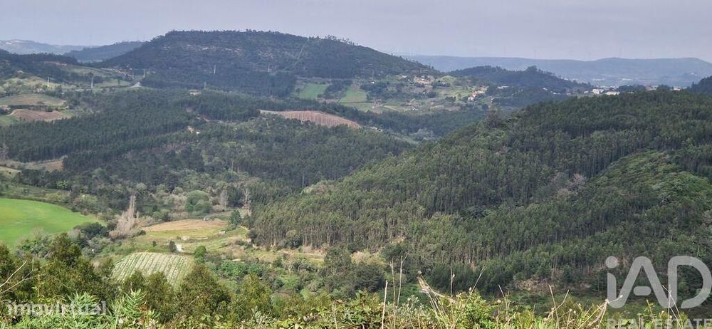 Plot of Land in Mafra, 8,875.00 m²