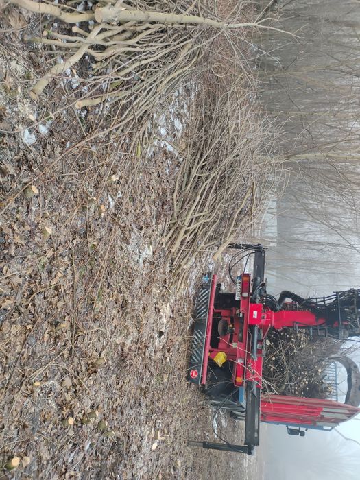 WYCINKA DRZEW/Odbiór drewna i gałęzi