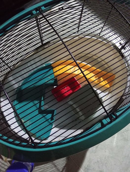 Vendo gaiola para hamster