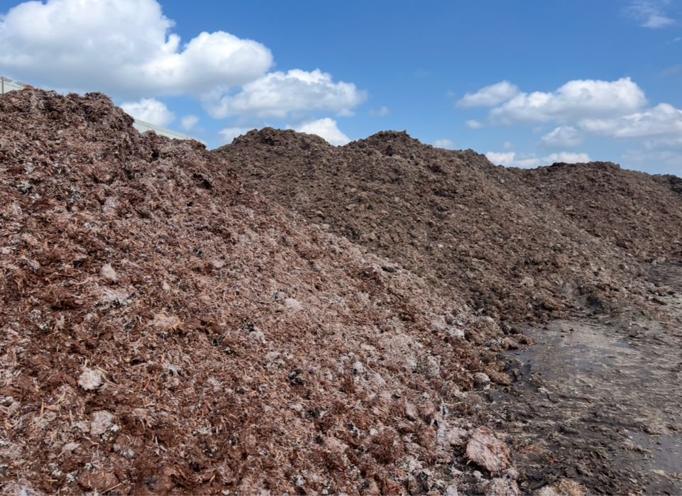 Podłoże popieczarkowe