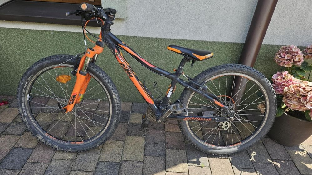 Rower KTM Wilde Speed