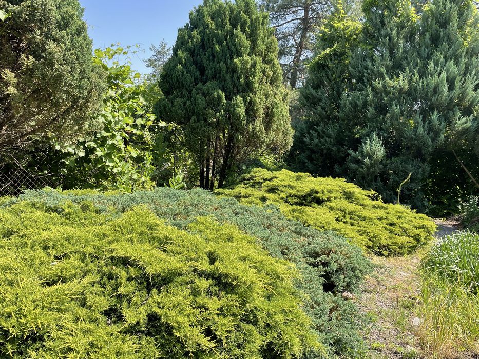 Продам дом Обуховка 150 кв.возле Орели рекидальше