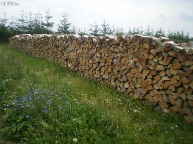 Дрова дубові  для каміна дрова колоті Обуховський р-н Мякі дрова осика