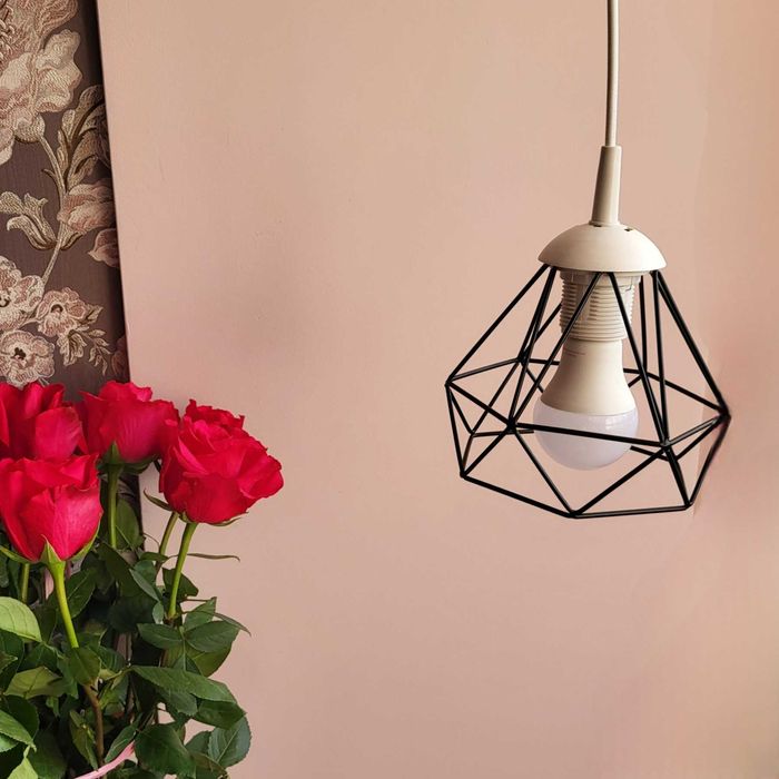 Светильник подвесной лофт E27 220В с LED-лампой 10W, провод 1м