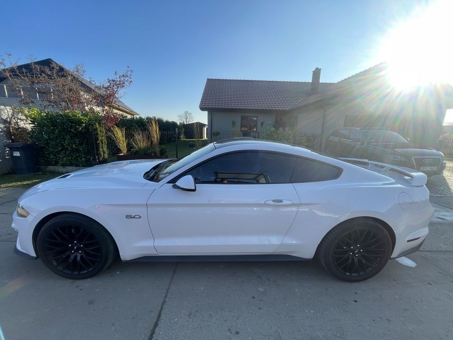 Mustang GT 5.0 manual PP 2019