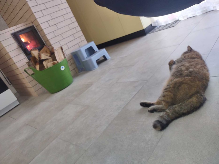 Продаж нового, автономного та енергоефективного будинку від власника