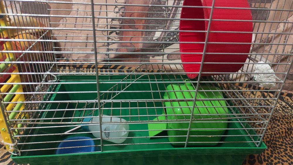 Hamster cages for sale olx hotsell