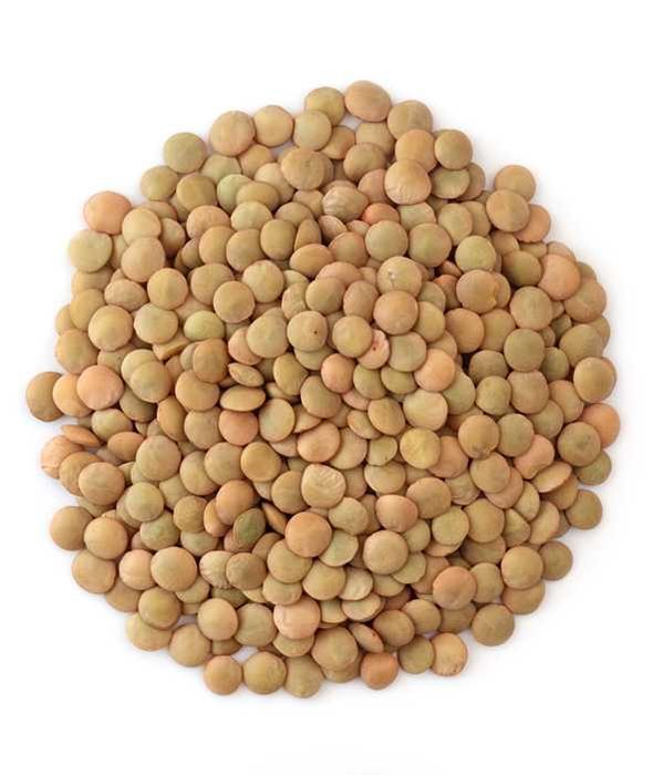 Soczewica zielona 1kg