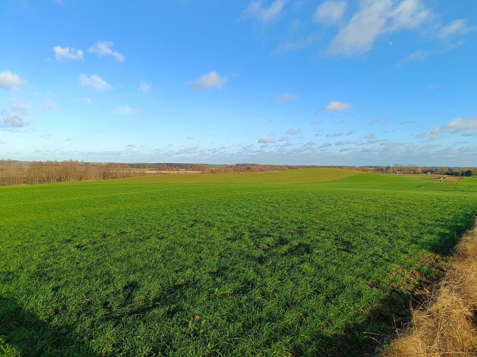 Ziemia rolna 12,55 ha - Widok 4
