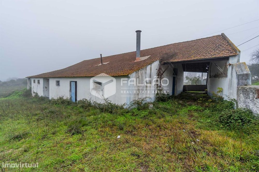 Fábrica/Indústria  Venda em Olaia e Paço,Torres Novas