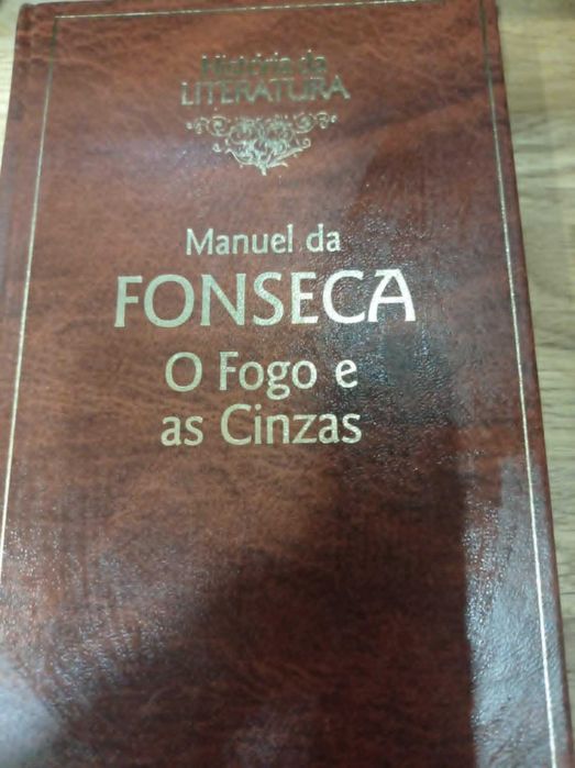 vendo livro  O fogo e as cinzas
