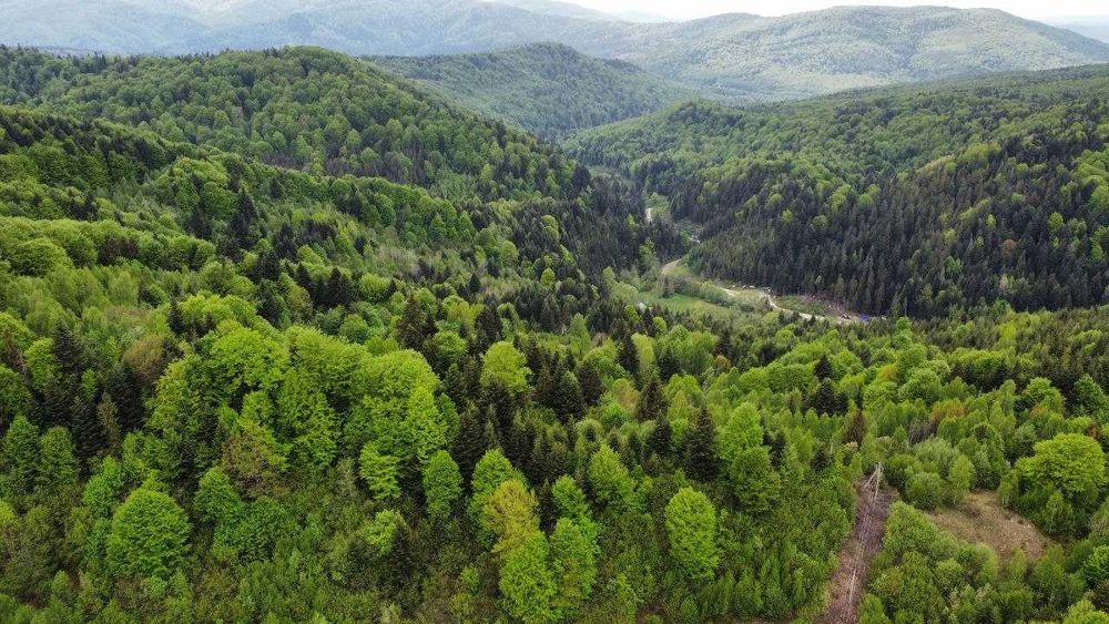 Ідеальна локація для успішного відпочинкового бізнесу...