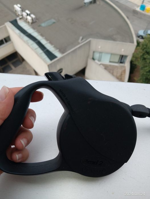 Trela extensível e açaime