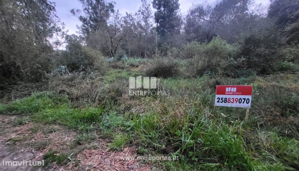 Venda de terreno florestal c/ 4590m², Vila Franca, Viana do Castelo