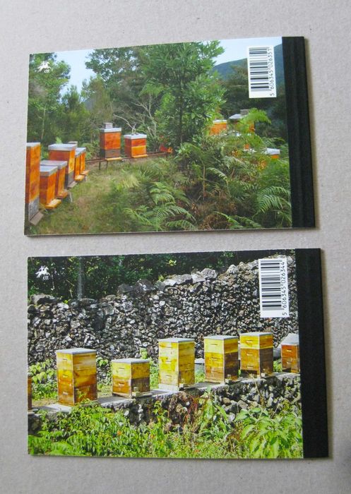 2013 – Carteira anual Nº9B – Madeira