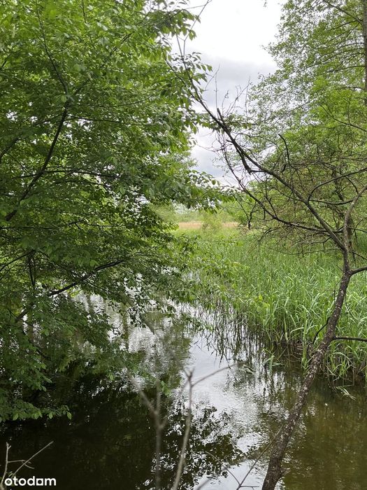 Działka rolna Kucbork 10263 m2