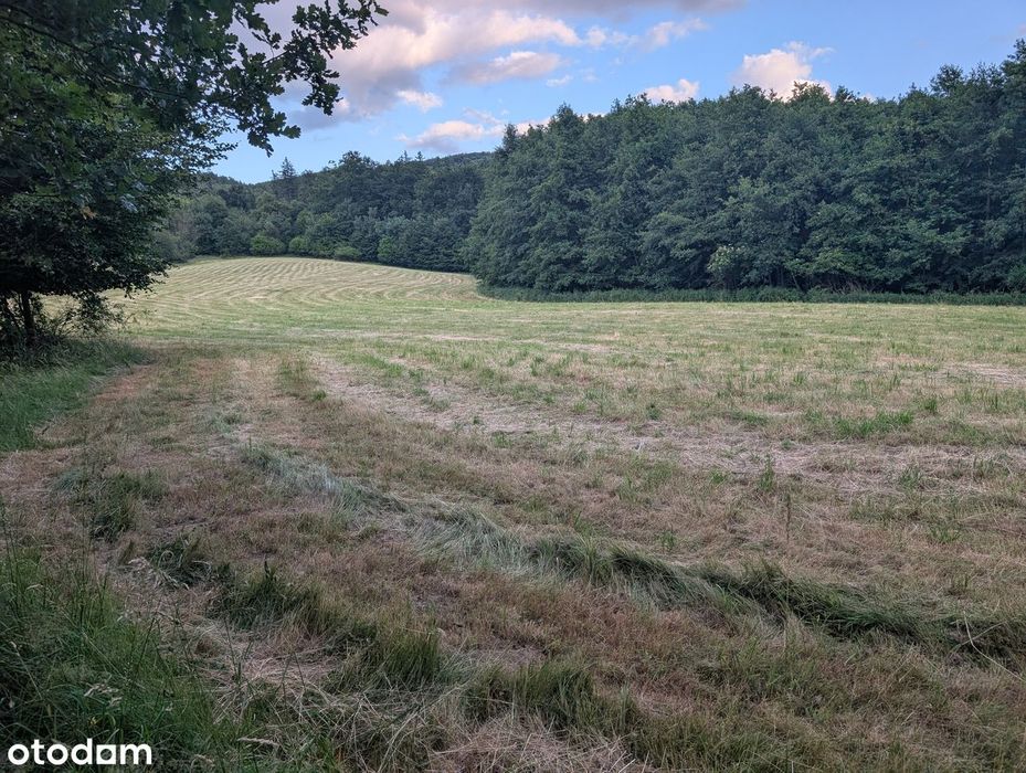2 działki (0,96+0,46ha) pod wymarzony dom lub agroturystkę, las,  góry