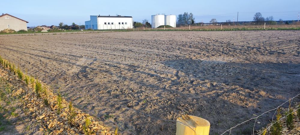 Działka budowlana 20 ar | WZ | Złoczew | S8 | Gotowa pod zabudowę /zamiana/ - Widok 4