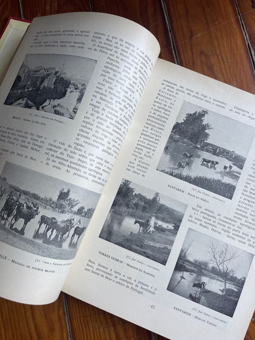 Historia de portugal 7 vol edição monumental da portucalense editora