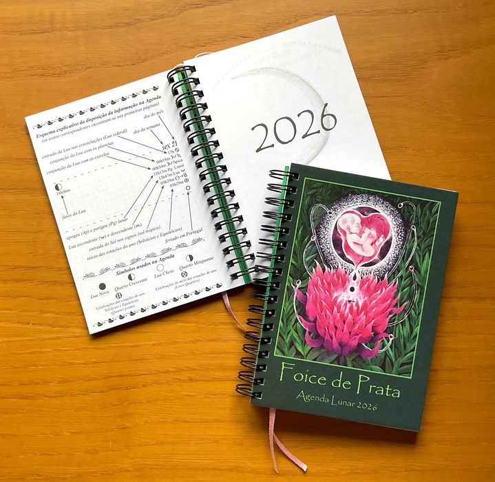 AGENDA LUNAR - última edição!