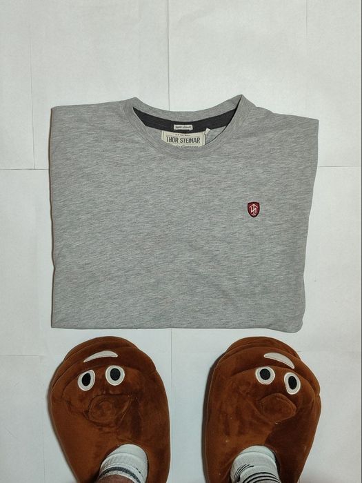 Футболка Thor steinar