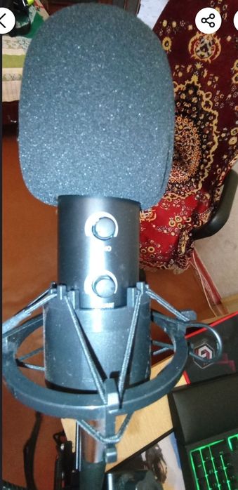 Професійний мікрофон.