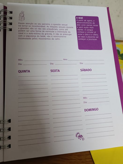 Livro maternidade